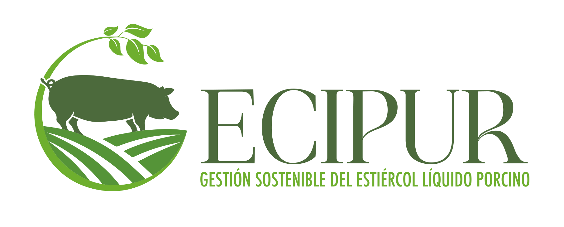 logo ecipur