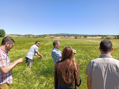 El proyecto ECIPUR analizara los beneficios del purin como fertilizante organico